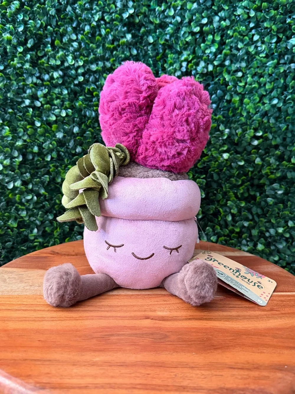 Greenhouse by Russ Margo the Succulent 12” Plush